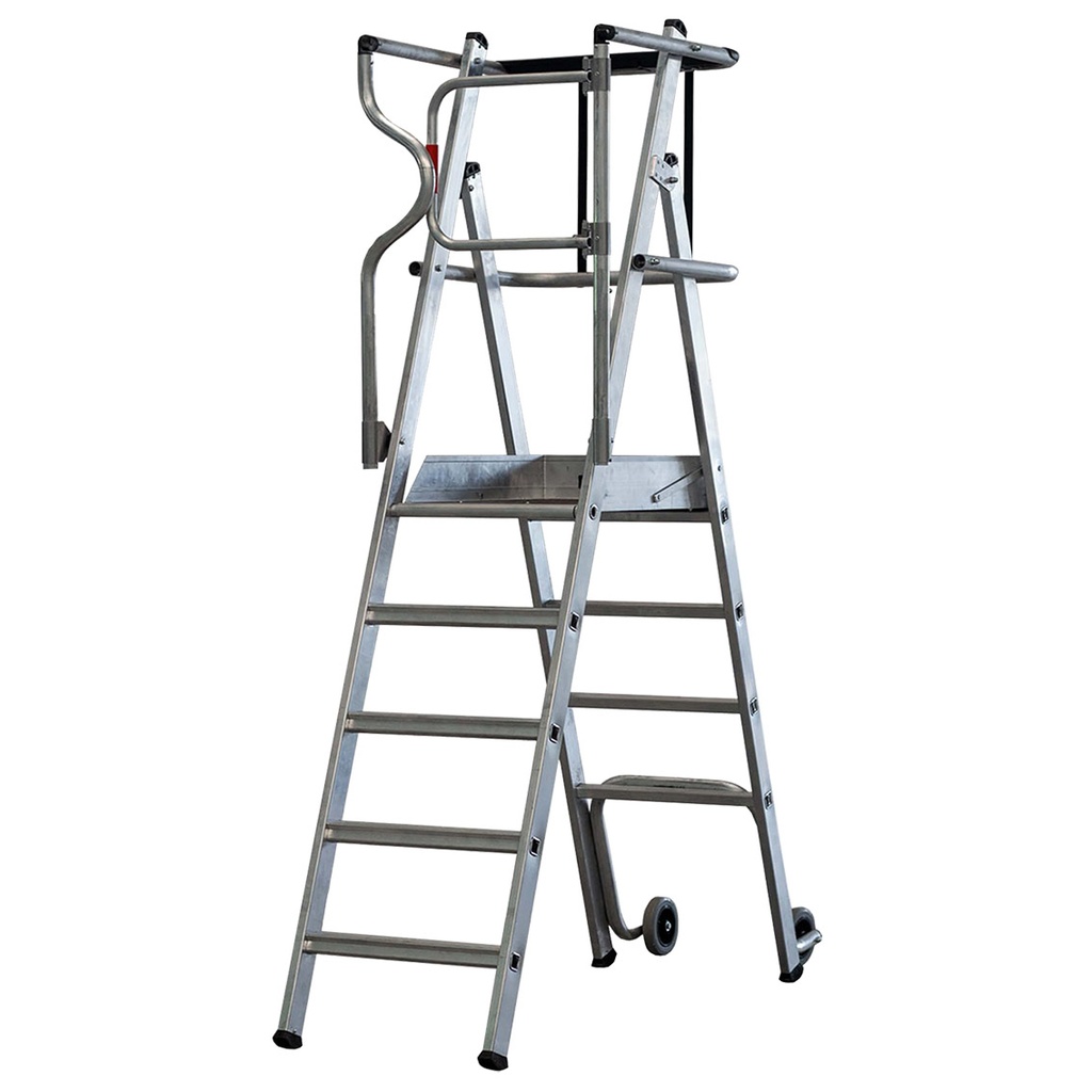 Escalera plataforma de aluminio Protect